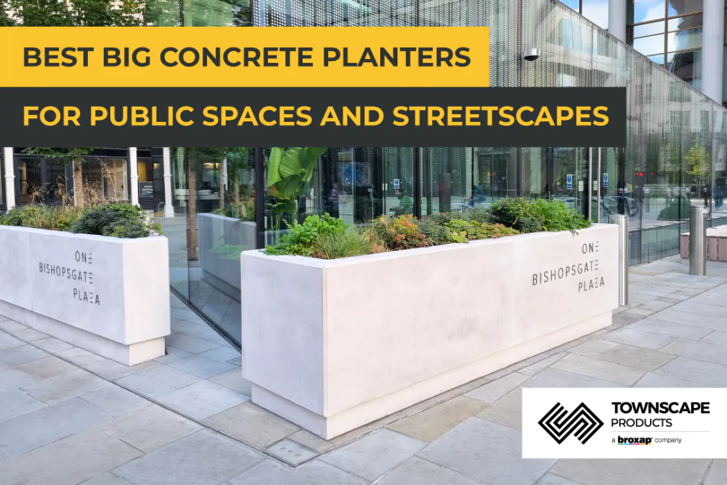 Best Big Concrete Planters for Public Spaces and Streetscapes